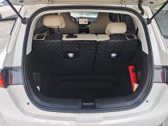 Wuling Binguo PLUS 2024 510km 5-Seater - ფოტო 18
