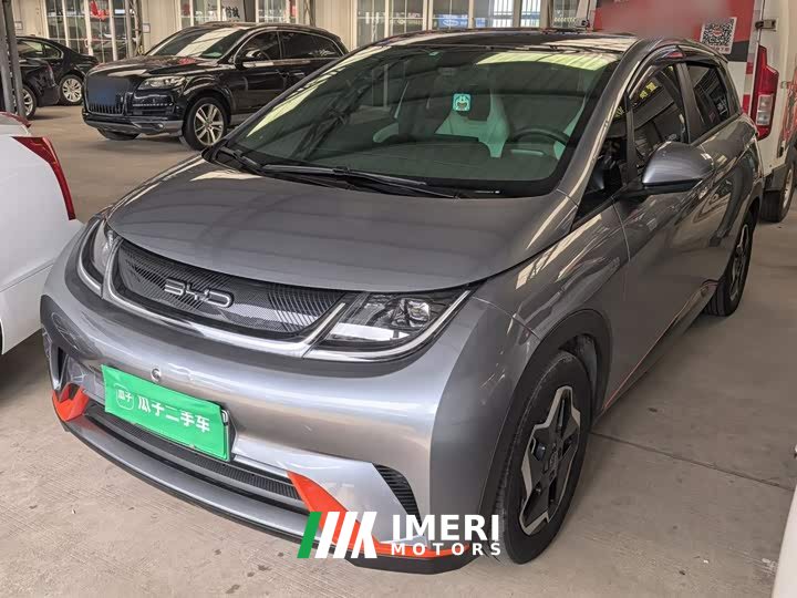 BYD Dolphin 405km Fashion Edition - ავტომობილი ჩინეთიდან