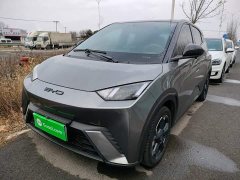 BYD Seagull 2023 Freedom Edition - ფოტო 1