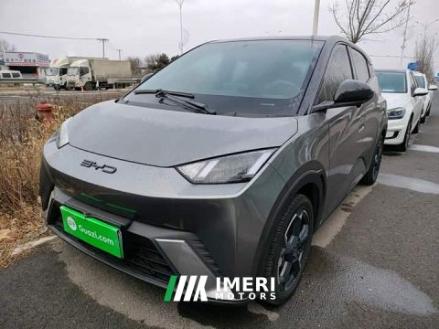 2024 BYD Seagull Freedom Edition