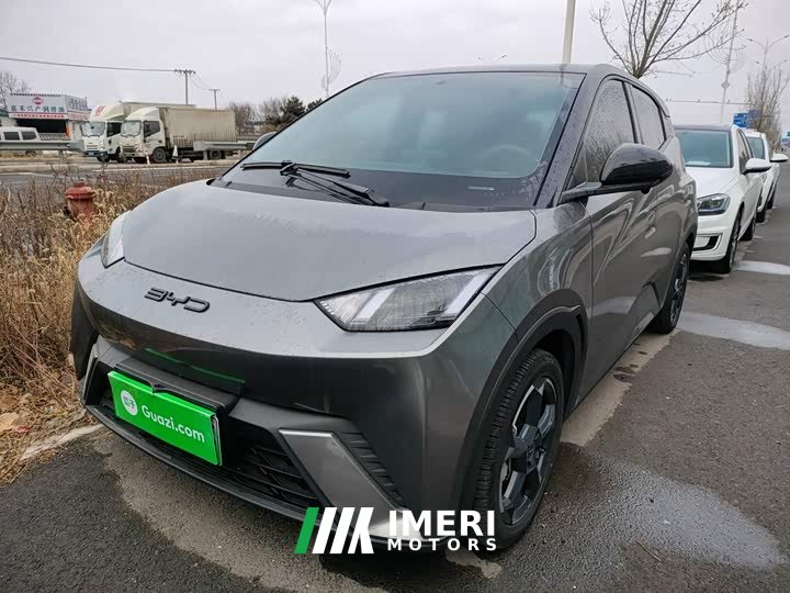 BYD Seagull Freedom Edition