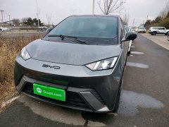 BYD Seagull 2023 Freedom Edition - ფოტო 2