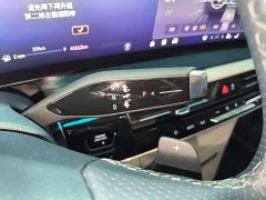 Buick Century 2.0T Four-Seater Private Edition - ფოტო 13