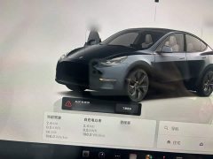 Tesla Model Y Rear-Wheel Drive - ფოტო 12