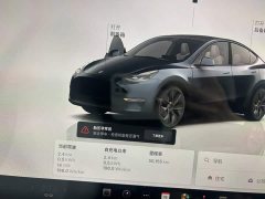Tesla Model Y Rear-Wheel Drive - ფოტო 2