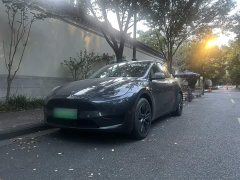 Tesla Model Y Rear-Wheel Drive - ფოტო 3