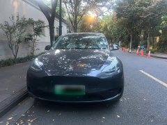 Tesla Model Y Rear-Wheel Drive - ფოტო 6