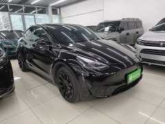 Tesla Model Y Rear-Wheel Drive - ფოტო 3