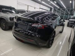 Tesla Model Y Rear-Wheel Drive - ფოტო 6