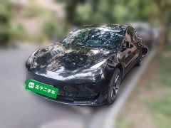 Tesla Model 3 Standard Range RWD Upgrade - ფოტო 1