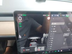 Tesla Model 3 Standard Range RWD Upgrade - ფოტო 3