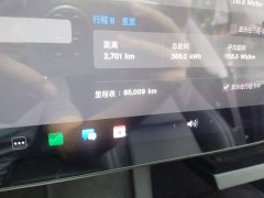 Tesla Model 3 Standard Range RWD Upgrade - ფოტო 4