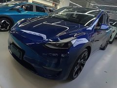 Tesla Model Y Long Range All-Wheel Drive - ფოტო 1