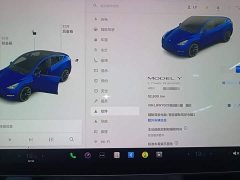 Tesla Model Y Long Range All-Wheel Drive - ფოტო 11