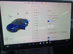 Tesla Model Y Long Range All-Wheel Drive - ფოტო 12