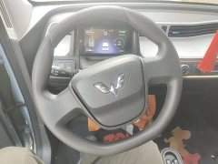 Wuling Hongguang MINIEV 2020 Zizai Trim Ternary Lithium - ფოტო 10