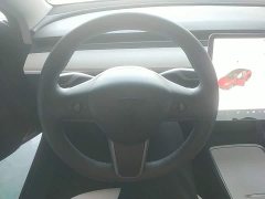 Tesla Model 3 Standard Range RWD Upgrade 3D6 - ფოტო 10