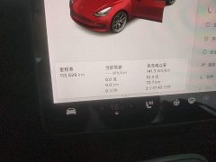 Tesla Model 3 Standard Range RWD Upgrade 3D6 - ფოტო 11