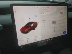 Tesla Model 3 Standard Range RWD Upgrade 3D6 - ფოტო 12