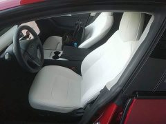 Tesla Model 3 Standard Range RWD Upgrade 3D6 - ფოტო 14