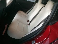 Tesla Model 3 Standard Range RWD Upgrade 3D6 - ფოტო 16
