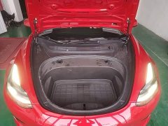 Tesla Model 3 Standard Range RWD Upgrade 3D6 - ფოტო 19