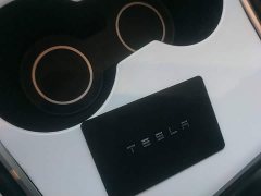 Tesla Model 3 Standard Range RWD Upgrade 3D6 - ფოტო 8