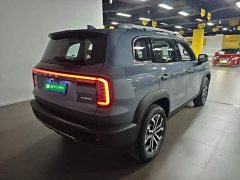 Great Wall Dachshund 2026 1.5T DCT Border Collie Edition - ფოტო 6