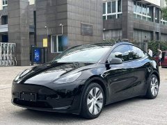 Tesla Model Y Rear-Wheel Drive - ფოტო 1