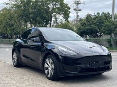 Tesla Model Y Rear-Wheel Drive - ფოტო 4