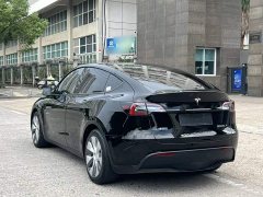 Tesla Model Y Rear-Wheel Drive - ფოტო 6