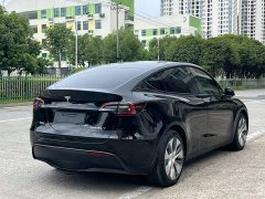 Tesla Model Y Rear-Wheel Drive - ფოტო 8