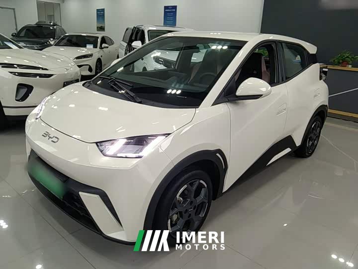 BYD Seagull 2025 405km Flying Edition - ავტომობილი ჩინეთიდან