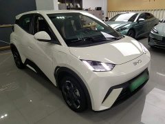 BYD Seagull 2025 405km Flying Edition - ფოტო 3