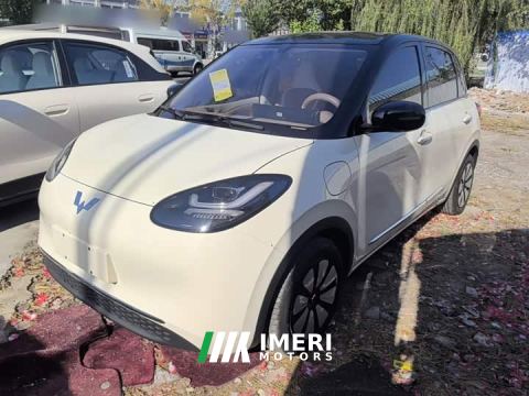 2025 Wuling Binguo 333km Joy Edition