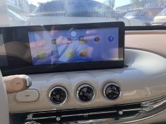Wuling Binguo 333km Joy Edition - ფოტო 12