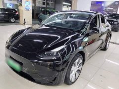 Tesla Model Y Rear-Wheel Drive - ფოტო 1