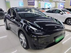 Tesla Model Y Rear-Wheel Drive - ფოტო 3
