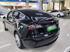 Tesla Model Y Rear-Wheel Drive - ფოტო 4