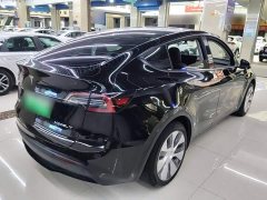 Tesla Model Y Rear-Wheel Drive - ფოტო 6