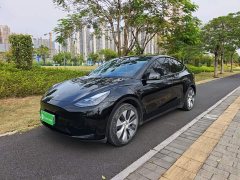 Tesla Model Y 2022 Facelift Rear-Wheel Drive - ფოტო 1