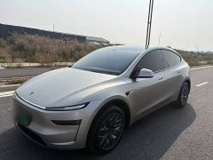 Tesla Model Y L 2025 Long Range All-Wheel Drive - ფოტო 1