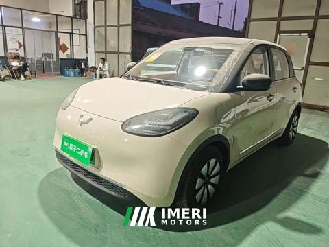 2026 Wuling Binguo 333km Joy Edition - car from China
