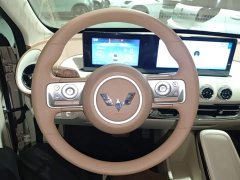 Wuling Binguo 2025 333km Joy Edition - ფოტო 10