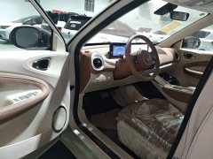 Wuling Binguo 2025 333km Joy Edition - ფოტო 15