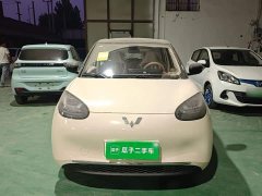 Wuling Binguo 2025 333km Joy Edition - ფოტო 2