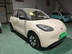 Wuling Binguo 2025 333km Joy Edition - ფოტო 3