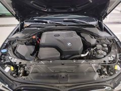 BMW 3 Series 330Li M Sport Night Edition Package - ფოტო 19