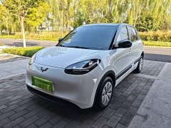 Wuling Binguo 203km Light Enjoy Edition - ფოტო 1
