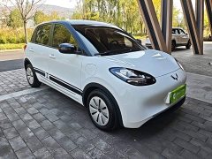 Wuling Binguo 203km Light Enjoy Edition - ფოტო 3